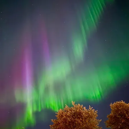 Appartement Unik Midt I